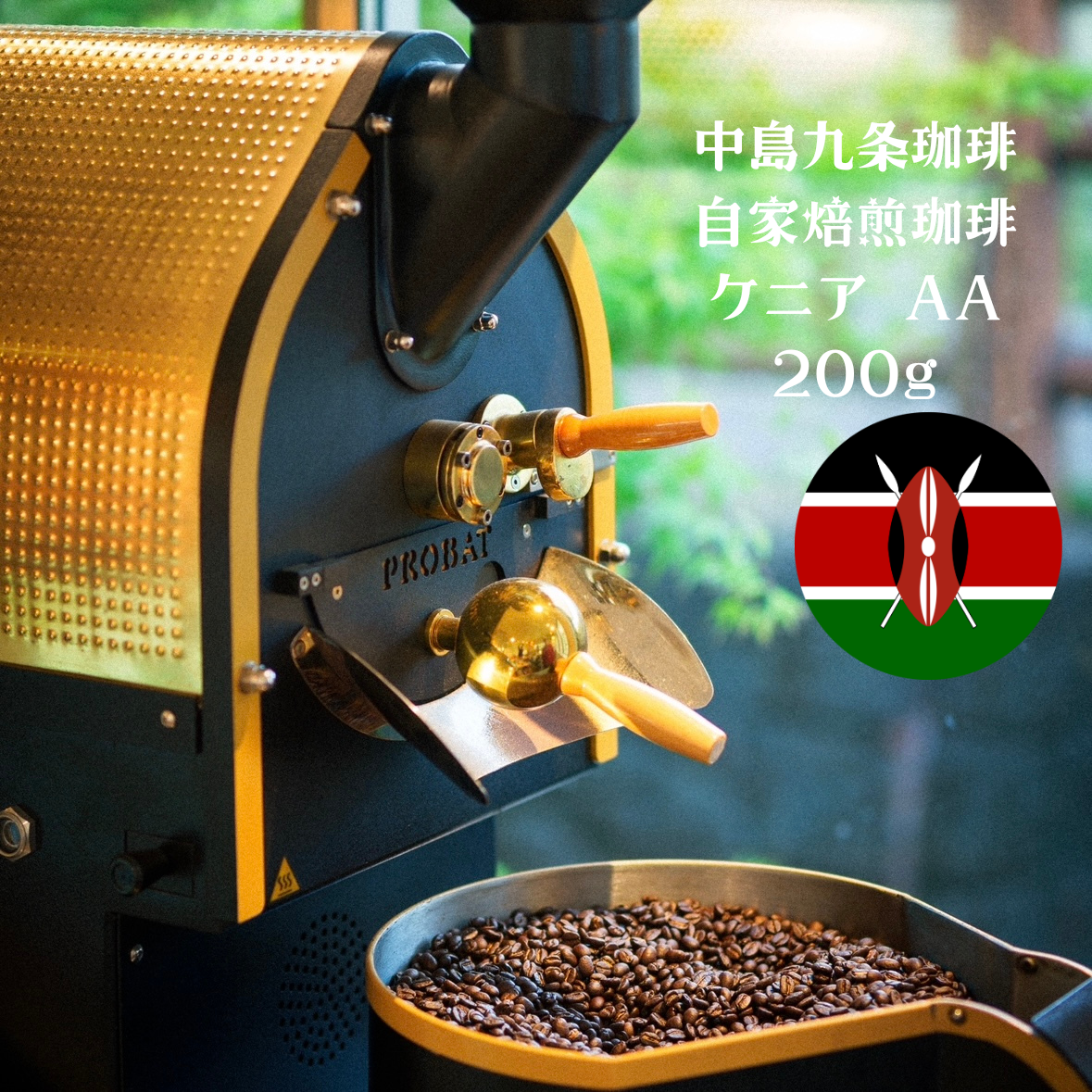 ケニアAA 200g