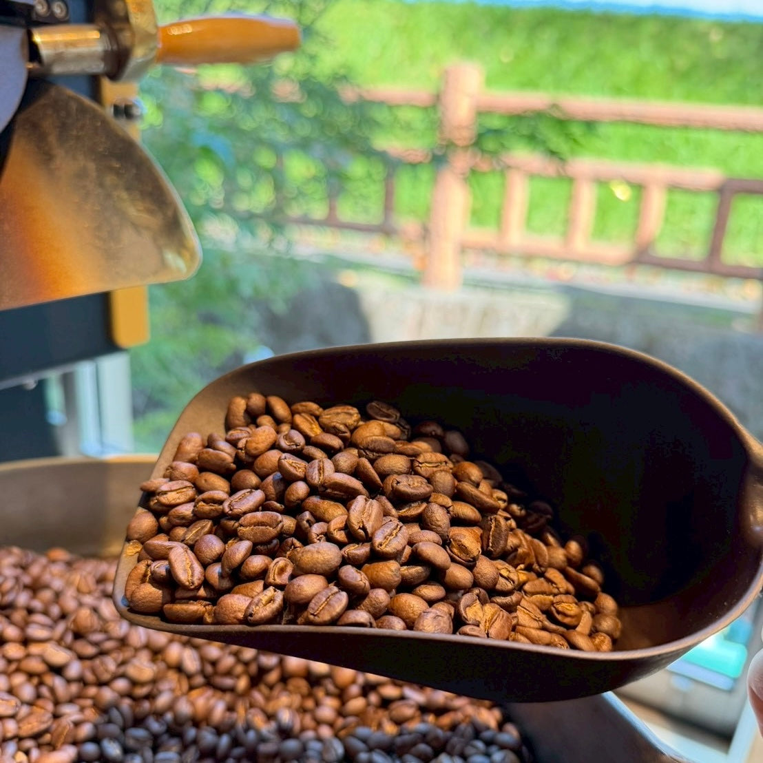 ブルーマウンテンNo.1 "150g"